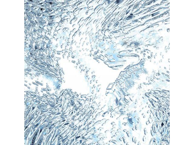 

[CD] ((ika)) Normal Edition Tempalay WPCL-13555 J-Pop Original Full Album NEW