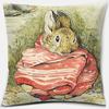 Cute Cartoon Rabbit Printing Series Pattern Pillowcase Square Pillowcase Home Office Decoration Pillowcase