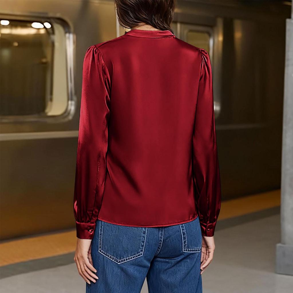 Women's Silk Shirt Casual Work Business Shirt Long Sleeve V,Neck Top