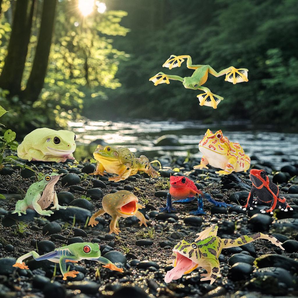 TOYMANY 12-Piece Frog Figure Set, Realistic Frog Model Figurines, Perfect for Birthdays, Christmas, New Years, Halloween, and More, Ages 6 and Up