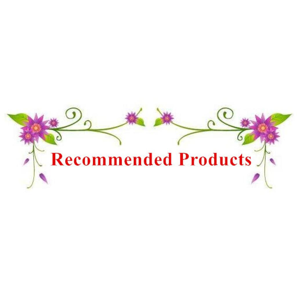 Exotic Accessories of Fetish Metal Nipple Clamp Shaking Milk Stimulate Flirting for Women Couples Sexy Body