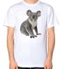 Koala T-Shirt