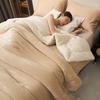 Plush Thick Warm Winter Blanket Double Layer Milk Fleece Flannel Soft Bed Blankets for Sofa Single Couple Flurry Bedspread