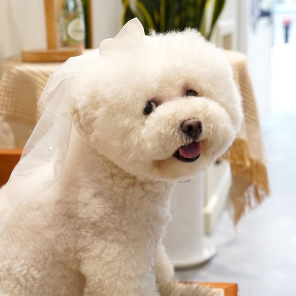 1PCS Pet Cat Wedding Princess Crown Wedding Veil Cat Dog Bridal Sequin Lace Pearls Headdress Dog Weddings Celebrations Hair Accs