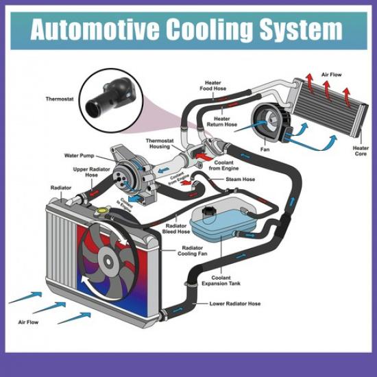 Coolant Thermostat Housing Assembly ONE  for Toyota Corolla 2009-