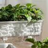 Maceta Transparente de Riego Automático para Plantas de Interior y Exterior Maceta de Plantación con Agujero de Drenaje Depósito Profundo Maceta para Hierbas y Flores con Cuerda de Mecha