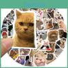 50 Niedliche Cartoon-Katzenaufkleber Für Scrapbooking Gepäck Handyhüllen Gitarren Und Skateboards