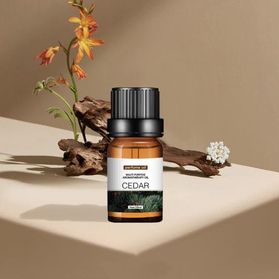 Přírodní rostlinný esenciální olej pro difuzér zvlhčovač 10 ml ve vodě rozpustný aroma olej DIY svíčka mýdlo příslušenství