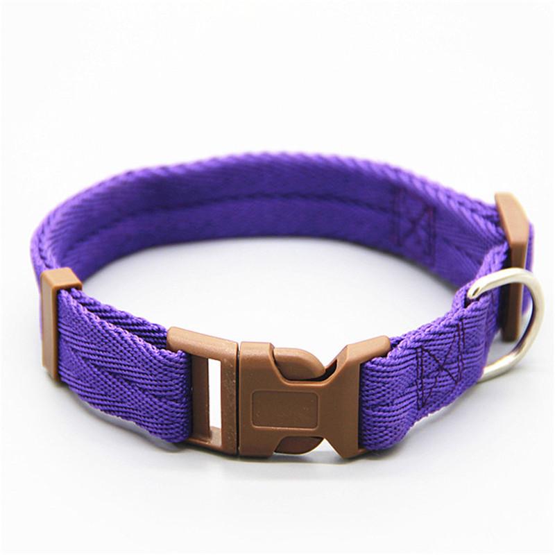 Multi-color Nylon Dog Collar: Anti-choke Options for Large and Small Dogs