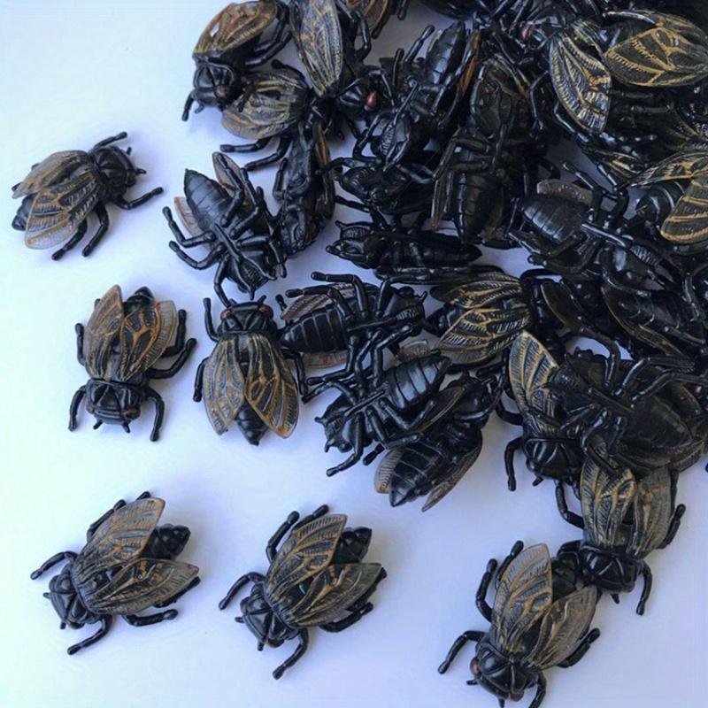 15pcs Simulation Cicada Novelty Ornament, Model Ornament, Office, Furniture Ornament Statues, Home Decoration Accessories