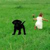 1PCS Acrylic Garden Ornaments Dog Yard Art  Backyard Lawn Decor  Black