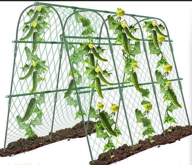 U-Shaped Plant Climbing Trellis for Vegetable Gardens - Plastic-Coated Steel Support for Beans and Cucumbers