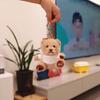 Stuffed Animal Plush Bear Key Chain Cute Bear Pendant Doll Graduation Bear Doll  Car Key Chain