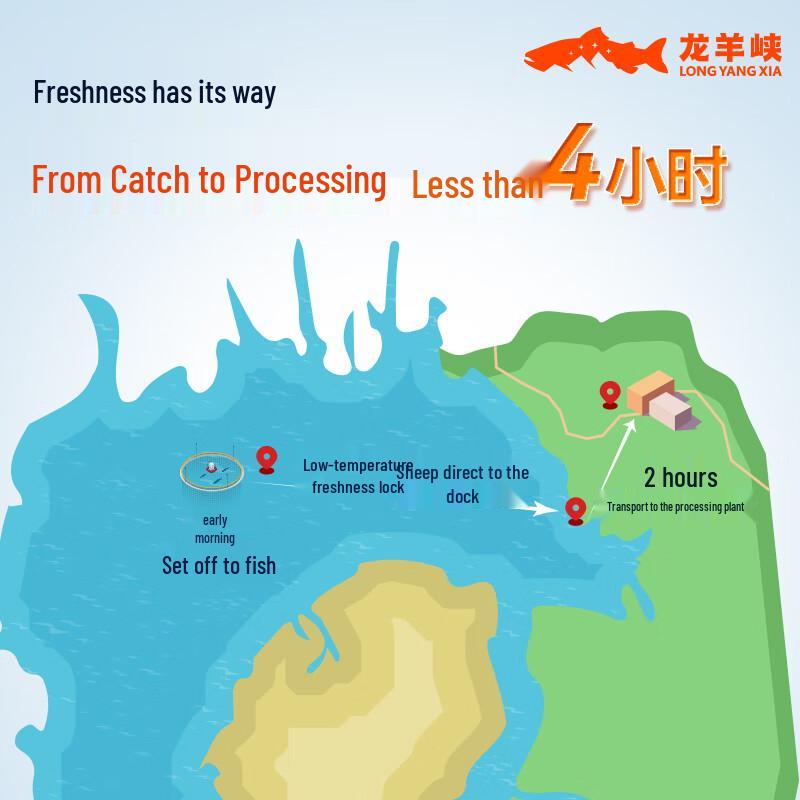 Longyangxia Qinghai Süßwasserlachsfilet