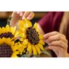 LEGO Botanical Collection 11502 - Sunflower Bouquet