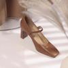 Fashion 2025 New Women's Mary Jane High Heels Square Toe Chunky Heels Outdoor Fashion Dress Pumps Women Shallow Buckle Strap Shoes