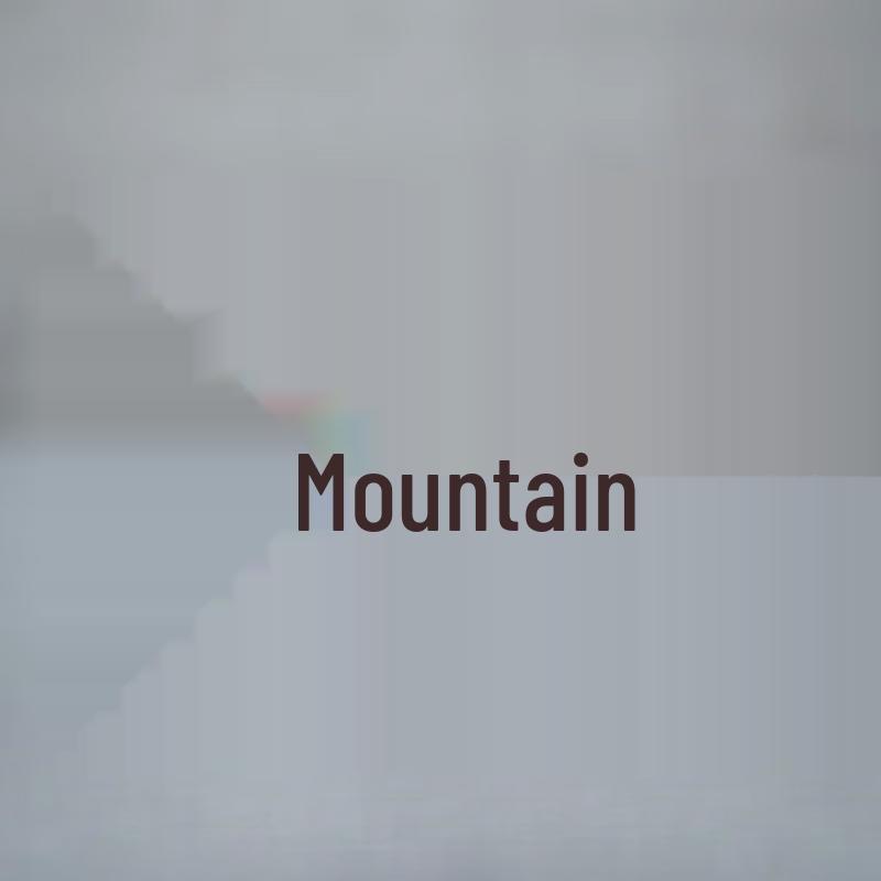 Edenus Handmade Yixing Zisha Teapot