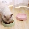 Thread Bottom Pet Bowls Dry Food Bowl Water Storage Bowl Cats Food Container