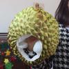 Funny Durian Headgear Soft Cartoon Plush Hat Cute Simulation Durian Hat  Cosplay Costume