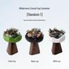 Wilderness Secret Aroma Diffuser Stone: High-end Scented Gift Box for Home, Mid-Autumn Festival Flameless Fragrance Ornament.