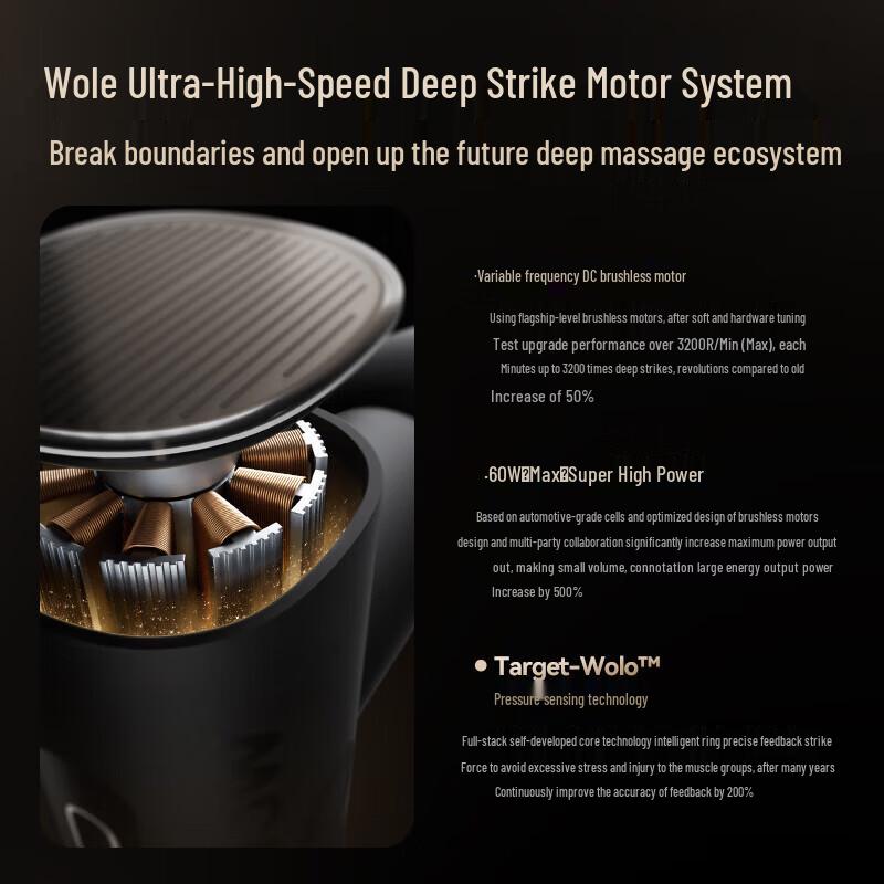 WOLONOW Portable Muscle Massage Gun CN Plug (adapter Included)