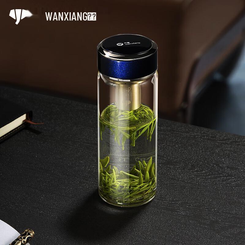 Vientiane Single-Layer Borosilicate Glass Tea Cup with Infuser
