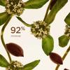 Extra Firming Treatment Essence 200ml