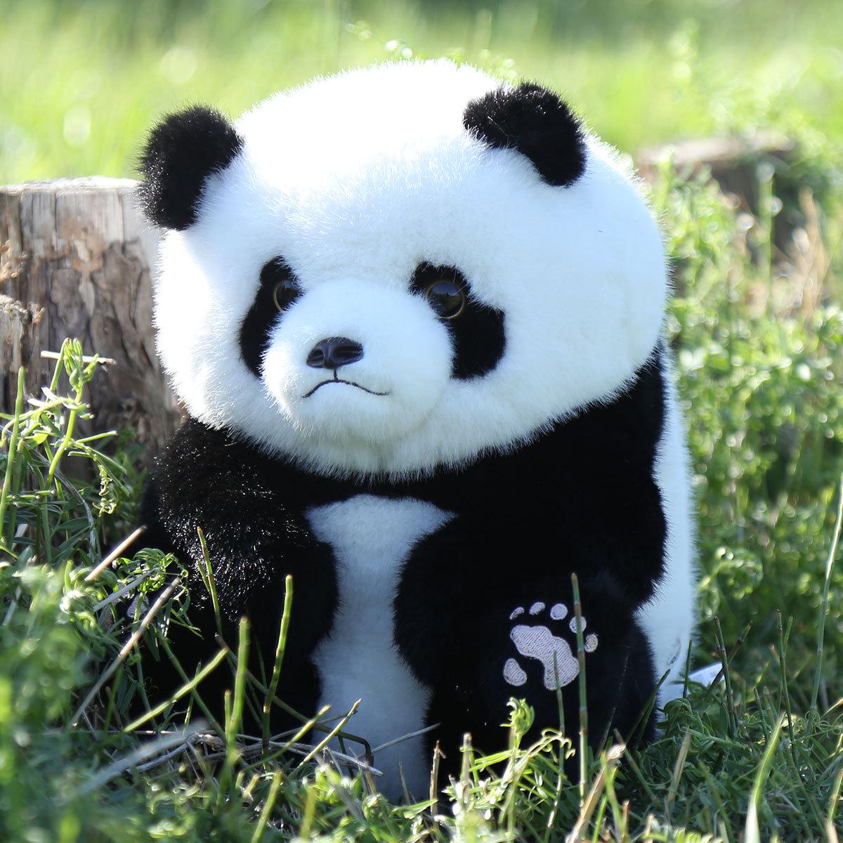 

Cute Panda Plush Toy - Adorable National Treasure Doll Birthday Gift for Girls 28 cm