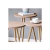 Colorful Triple Nesting Coffee Table Wooden Legs Round Pastel Design Cream