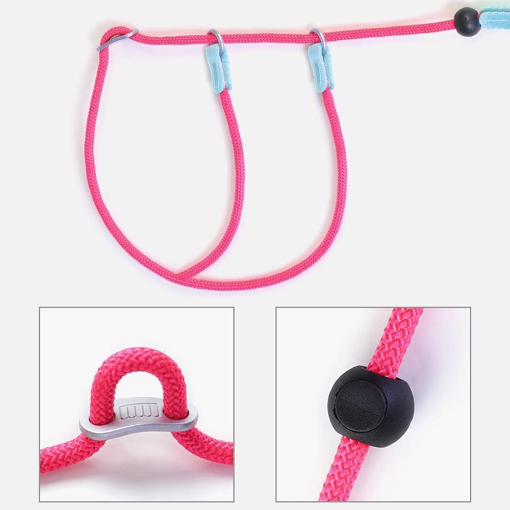 Leashes Pet Dog Choking Rope Leash Collar P-Shaped Chain Slip Lead Control Leash for Small Large Competition Dogs