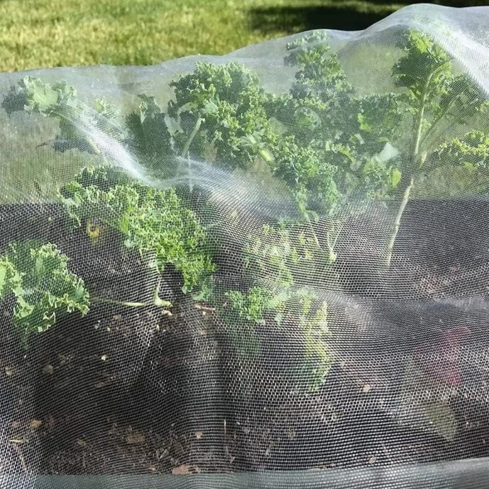 Breathable Plant Protection Netting Transparent Vegetable Mesh Cover Garden Insect Net Fruit Tree
