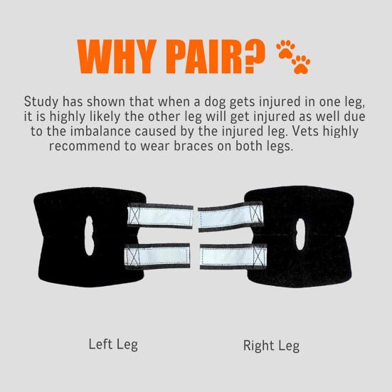 Dog Canine Rear Leg Hock Joint Brace Compression Wrap Dog Leg Sleeve for ACL CCL Injury Sprain Protection Arthritis Relief