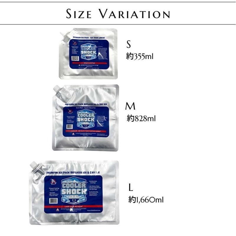 COOLER SHOCK Ice Set of 2 Packs, Small,