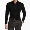 Solid Color Wine Red Non Iron Slim Fit Long Sleeve Business Casual Men Dress Shirt