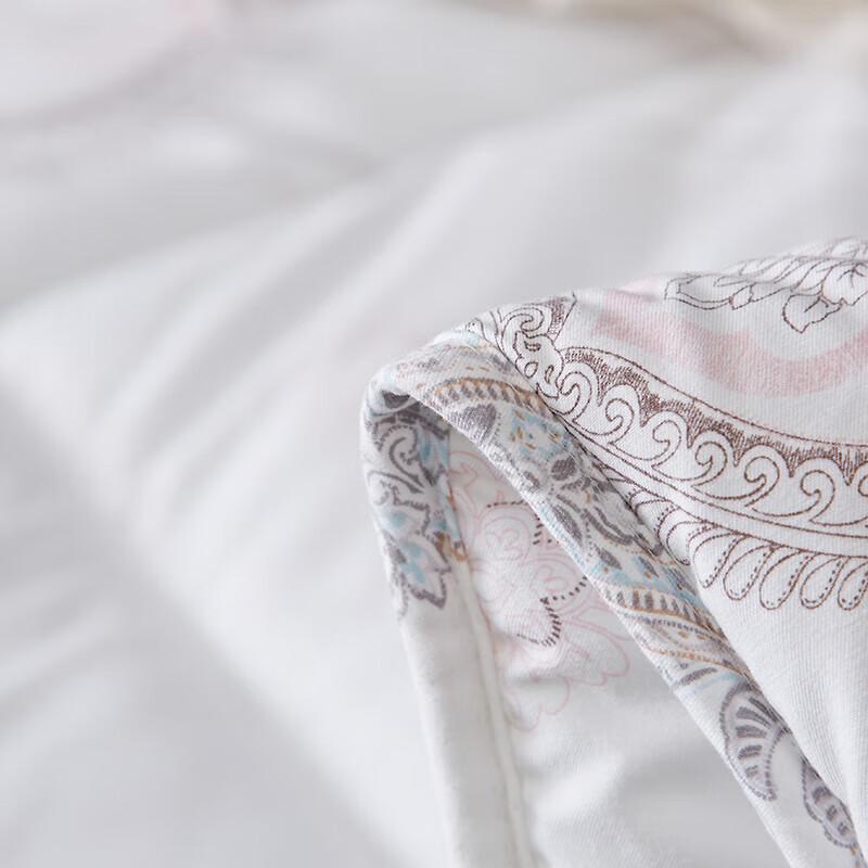 Hengyuanxiang Saipan Velvet Comfort Quilt