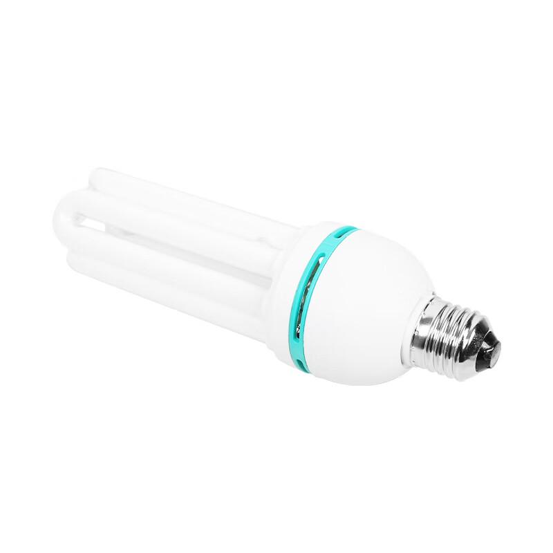 FSL E27 Energy-Saving Lamp 36W Daylight White