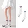 Black Ear-trimmed Double Flared Spring and Summer Grey Socks for Women, Mid-calf Socks, Large Mesh Boneless Loafers, Mary Jane Socks, Long