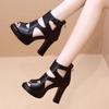 Foreign Trade 2025 Fashion New European and American, Large Size High-heeled Sandals Fish Mouth Roman Thick-soled Hollow Women's Shoes Thick