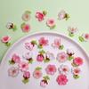 Spring Themed Resin Cherry Flower Charms Cherry Blossoms Florals Flatback Cabochons for Jewelry Making Decorations DIY