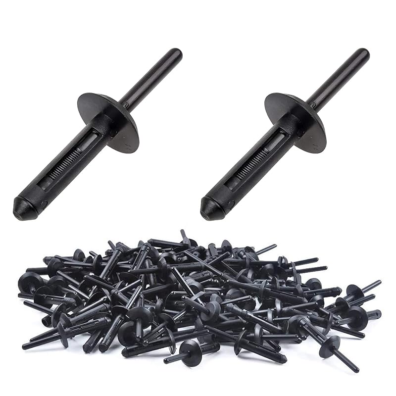 150Pcs Plastic Rivet Clip,Automotive Universal Nylon Pop Rivet Assortment,6 Most Popular Sizes Black Nylon Universal Rivet Kit,Replacement For GM
