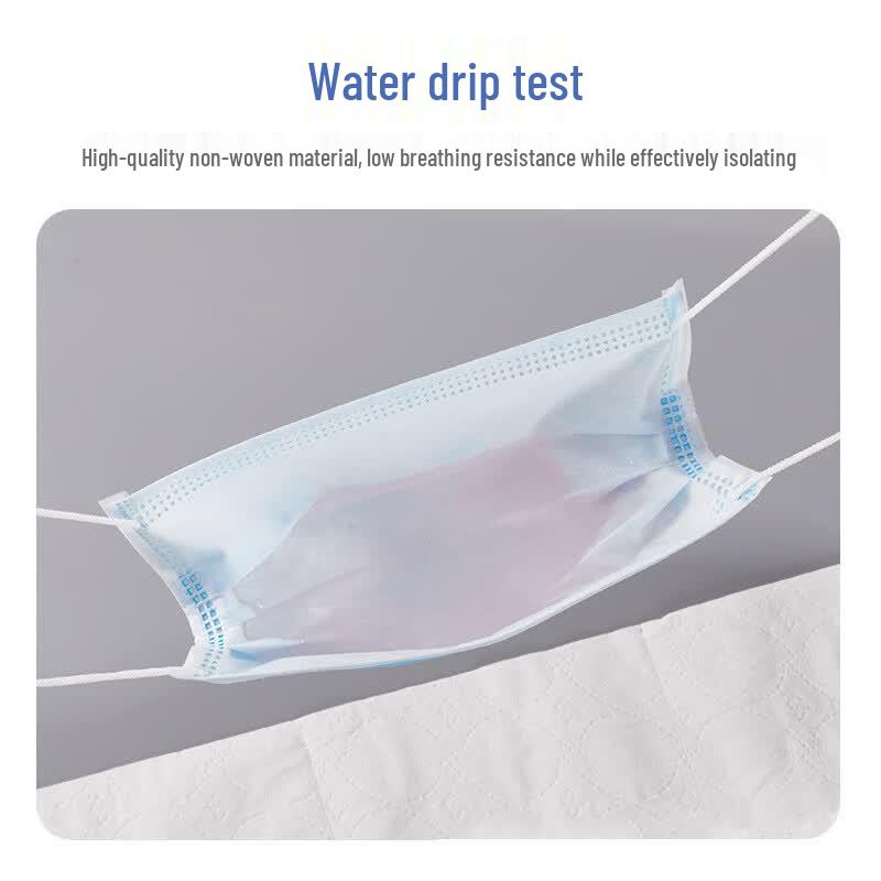 Adult Disposable Earloop Face Masks