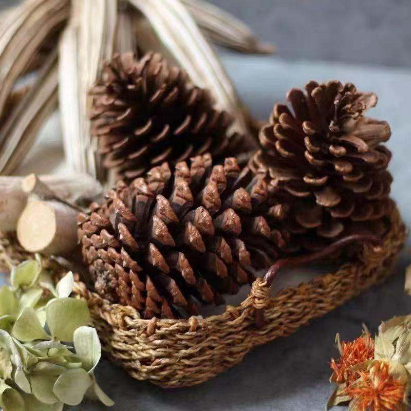7-15CM Large Pine Cone Christmas Ornaments & Photography Props