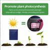 Solar Floodlight Plant Growing Light Waterproof Phytolamp Flower Seedling 35W 60W Full Spectrum LED Solar Powered Grow Lights