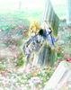 TAMASHII NATIONS Saint Seiya Cloth Myth Cygnus Hyoga God Cloth