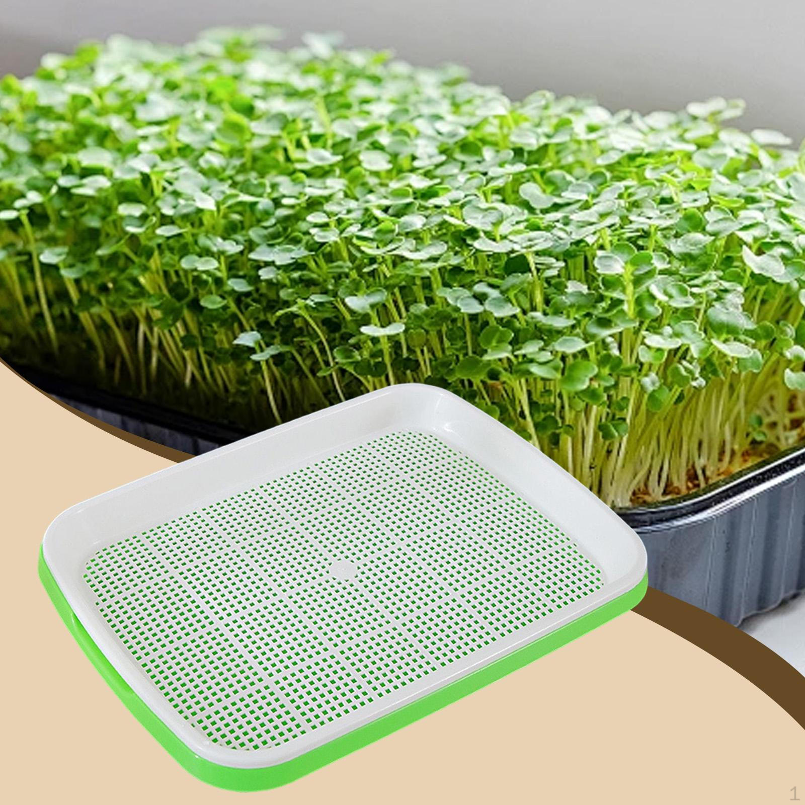 Tray Growing Microgreens for Indoor Gardening Shallow Tray