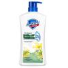 Safeguard Healthy Protection Body Wash