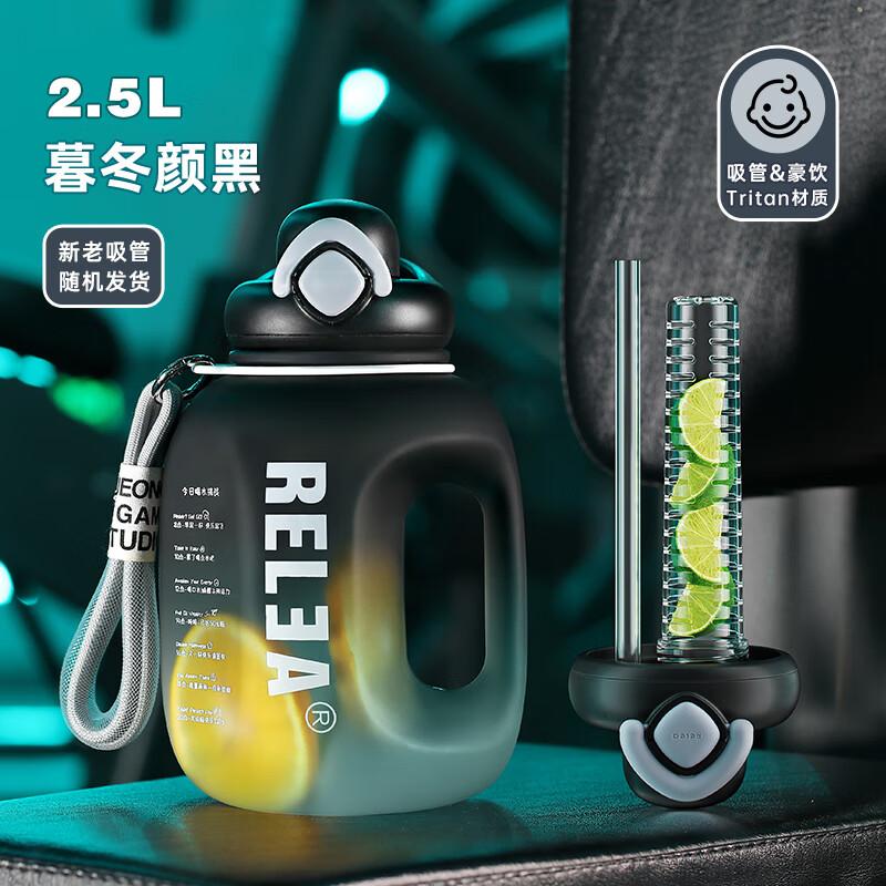 RELEA Large Capacity Sports Water Bottle with Straw