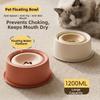 Large Capacity Slow Feeder Bowl Non-Slip Pet Feeding Dish Pet Water Bowl  Small Dog