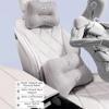 Seasonally Versatile Universal Neck Pillow Seat Cushion Pillow  For All Seasons
