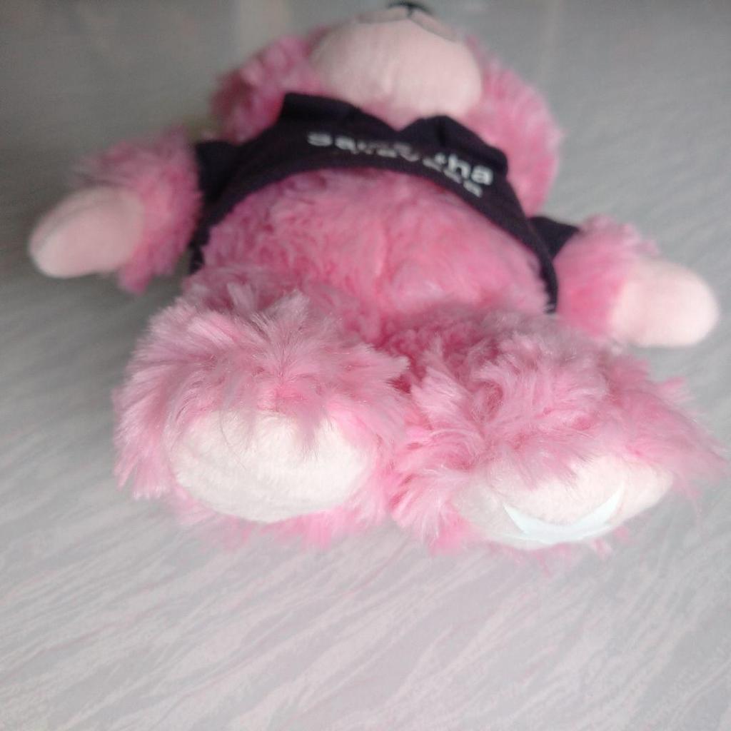 [USED] Samantha Thavasa Teddy Bear Imy with Charm